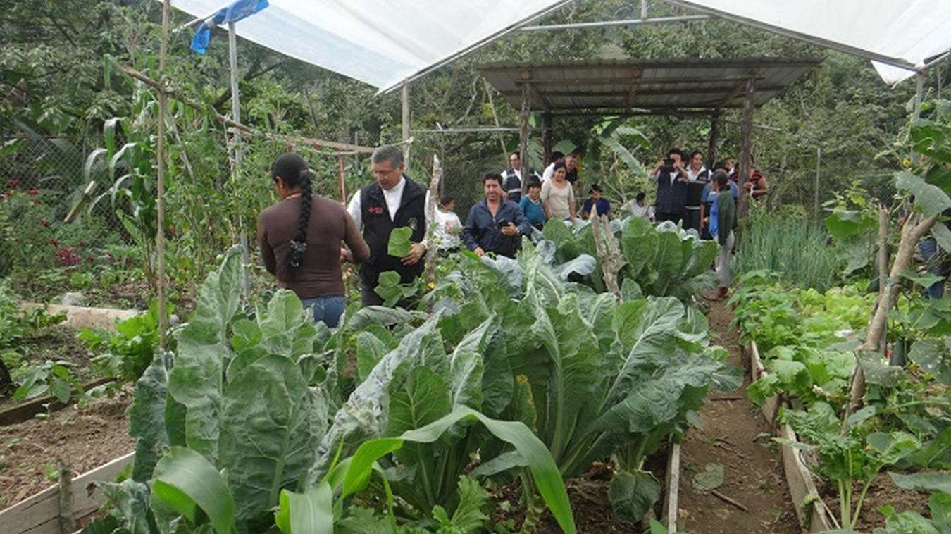 El Programa de Agricultura Familiar, que ejecuta el MAGAP en la provincia