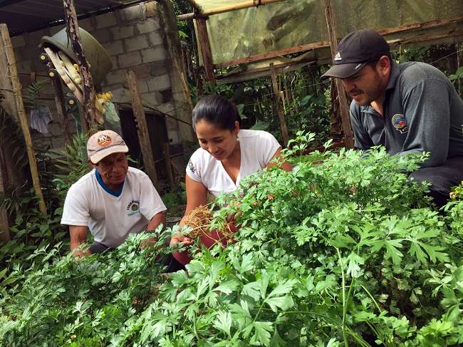 Prefectura apoyó en la construcción de alrededor de 500 huertos orgánicos en toda la provincia