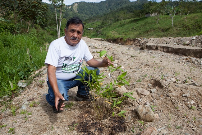 Se ejecuta en Timbara, mediante la reforestación de áreas degradadas en las orillas de la quebrada Sakantza.