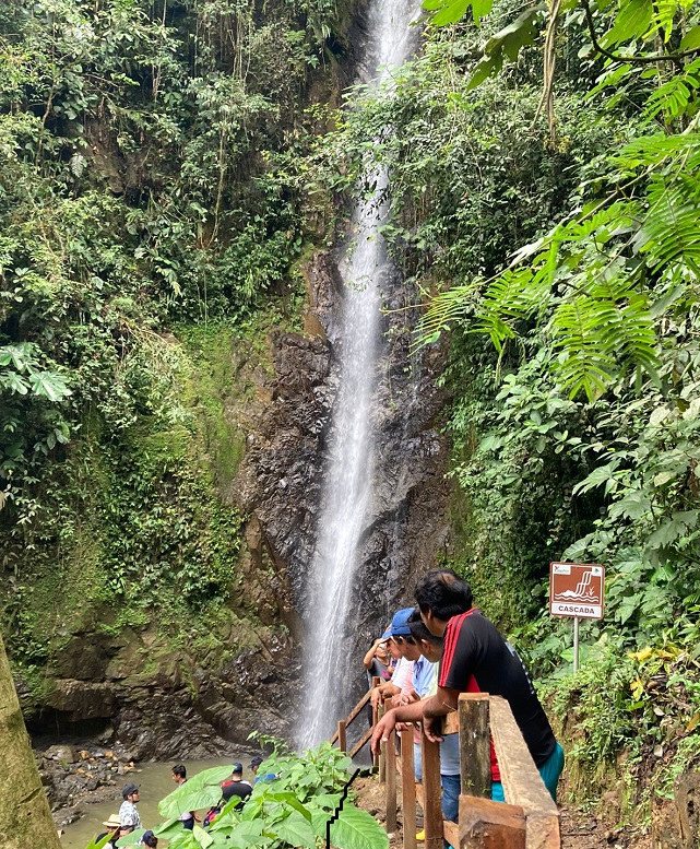 La cascada de 1.80 m de profundidad está rodeada de vegetación, se encuentra ubicada en el cantón Centinela del Cóndor.